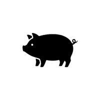 Pork